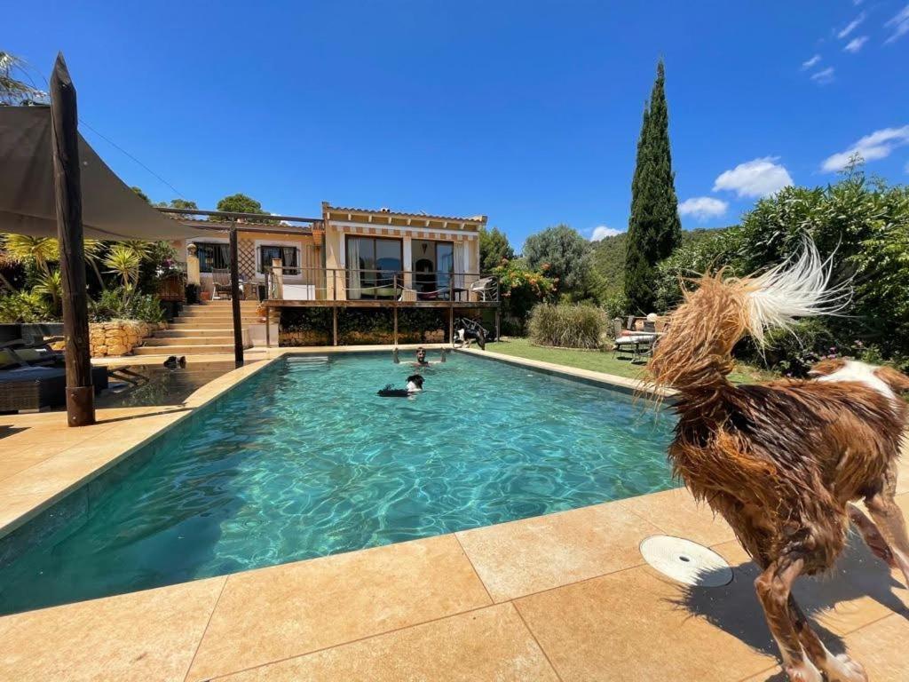 El Paraiso De Los Perros Polop Extérieur photo